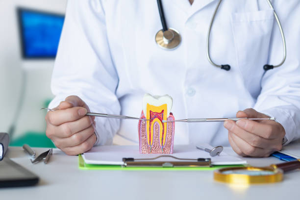 Best Emergency Cosmetic Dentistry (e.g., broken veneers) in Chandler, OK